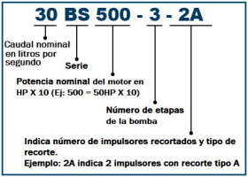 Serie BS (Hierro), Bombas Sumergibles en Monterrey